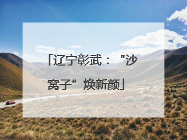 辽宁彰武：“沙窝子”焕新颜