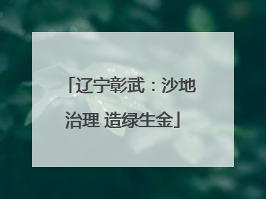 辽宁彰武：沙地治理 造绿生金