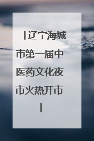 辽宁海城市第一届中医药文化夜市火热开市