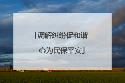 调解纠纷促和谐 一心为民保平安