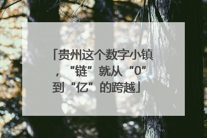 贵州这个数字小镇，“链”就从“0”到“亿”的跨越