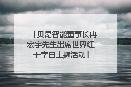 贝昂智能董事长冉宏宇先生出席世界红十字日主题活动