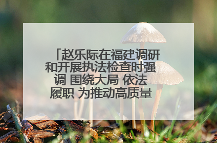 赵乐际在福建调研和开展执法检查时强调 围绕大局 依法履职 为推动高质量发展作出人大贡献