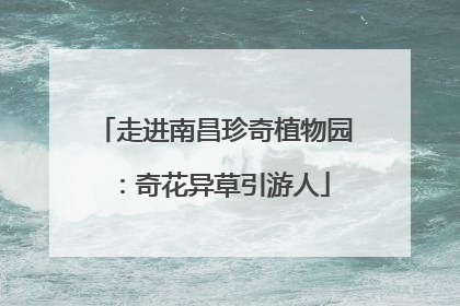 走进南昌珍奇植物园：奇花异草引游人