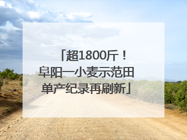 超1800斤！阜阳一小麦示范田单产纪录再刷新