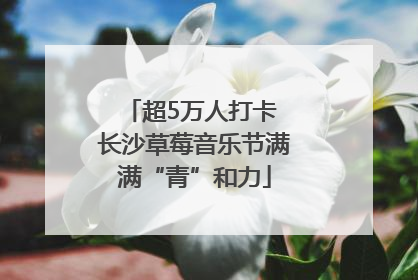 超5万人打卡 长沙草莓音乐节满满“青”和力
