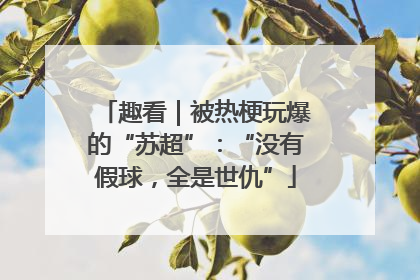 趣看｜被热梗玩爆的“苏超”：“没有假球，全是世仇”