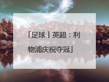 足球丨英超：利物浦庆祝夺冠