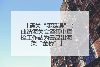 通关“零延误”：曲靖海关会泽集中查检工作站为云品出海架“金桥”