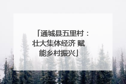 通城县五里村：壮大集体经济 赋能乡村振兴