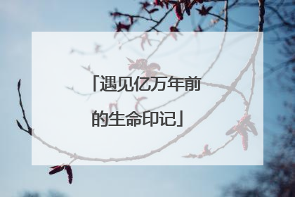 遇见亿万年前的生命印记