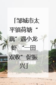 邹城市太平镇荷塘“藕”遇小龙虾 “一田双收”促振兴