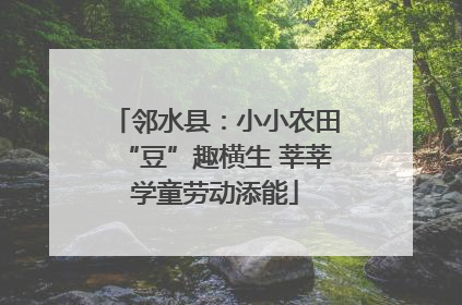 邻水县：小小农田“豆”趣横生 莘莘学童劳动添能