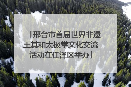 邢台市首届世界非遗王其和太极拳文化交流活动在任泽区举办