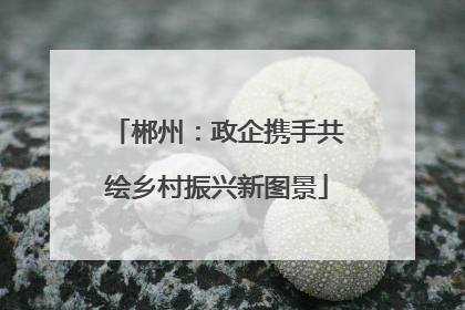郴州：政企携手共绘乡村振兴新图景