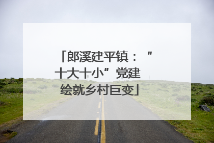 郎溪建平镇：“十大十小”党建 绘就乡村巨变