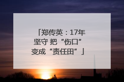 郑传英：17年坚守 把“伤口”变成“责任田”