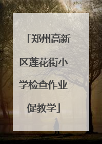 郑州高新区莲花街小学检查作业促教学