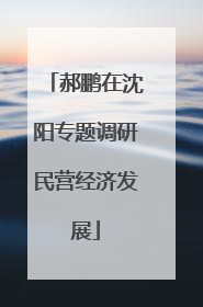郝鹏在沈阳专题调研民营经济发展