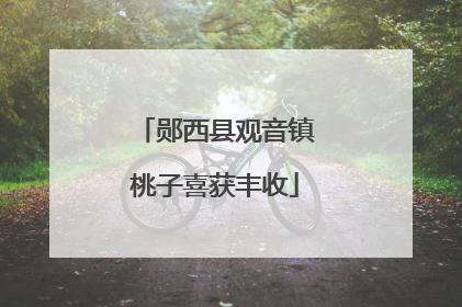 郧西县观音镇桃子喜获丰收