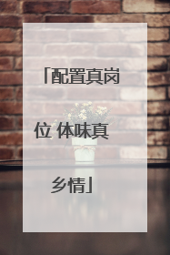 配置真岗位 体味真乡情