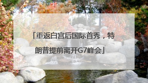 重返白宫后国际首秀，特朗普提前离开G7峰会
