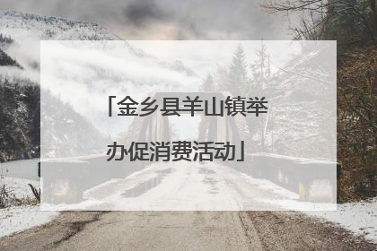 金乡县羊山镇举办促消费活动