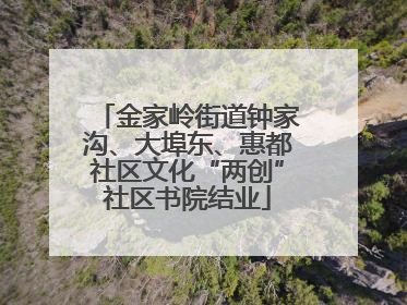 金家岭街道钟家沟、大埠东、惠都社区文化“两创”社区书院结业