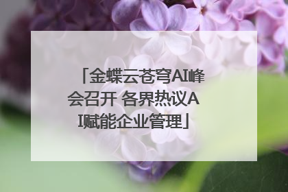 金蝶云苍穹AI峰会召开 各界热议AI赋能企业管理