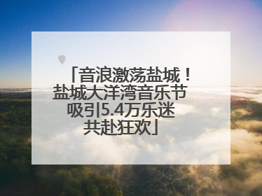 音浪激荡盐城！盐城大洋湾音乐节吸引5.4万乐迷共赴狂欢
