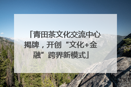 青田茶文化交流中心揭牌，开创“文化+金融”跨界新模式