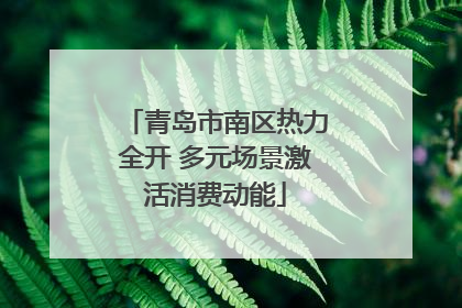 青岛市南区热力全开 多元场景激活消费动能