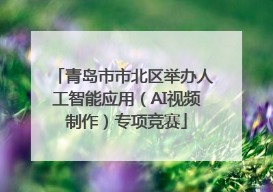 青岛市市北区举办人工智能应用（AI视频制作）专项竞赛