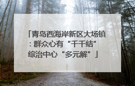 青岛西海岸新区大场镇：群众心有“千千结” 综治中心“多元解”