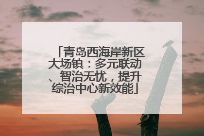 青岛西海岸新区大场镇：多元联动、智治无忧，提升综治中心新效能