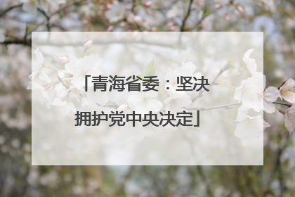 青海省委：坚决拥护党中央决定