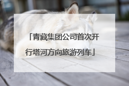 青藏集团公司首次开行塔河方向旅游列车