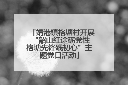 靖港镇格塘村开展“韶山红途砺党性 格塘先锋践初心”主题党日活动