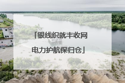 银线织就丰收网 电力护航保归仓