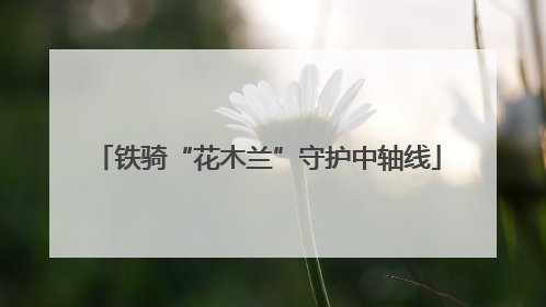 铁骑“花木兰”守护中轴线