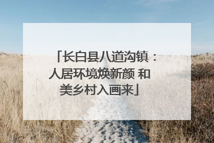 长白县八道沟镇：人居环境焕新颜 和美乡村入画来