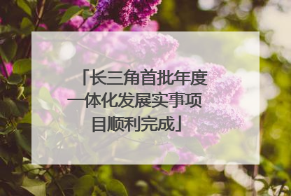 长三角首批年度一体化发展实事项目顺利完成