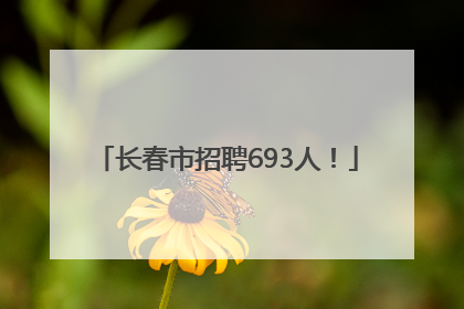 长春市招聘693人！
