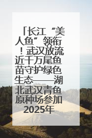 长江“美人鱼”领衔！武汉放流近千万尾鱼苗守护绿色生态——湖北武汉青鱼原种场参加2025年“全国放鱼日”增殖放流活动