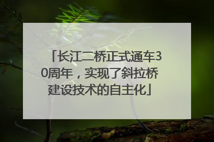 长江二桥正式通车30周年，实现了斜拉桥建设技术的自主化