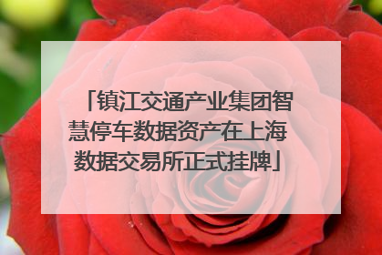 镇江交通产业集团智慧停车数据资产在上海数据交易所正式挂牌