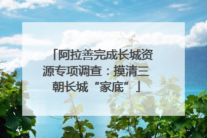 阿拉善完成长城资源专项调查：摸清三朝长城“家底”