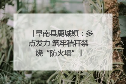 阜南县鹿城镇：多点发力 筑牢秸秆禁烧“防火墙”