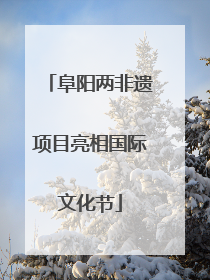 阜阳两非遗项目亮相国际文化节