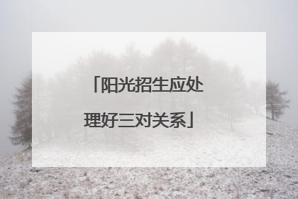 阳光招生应处理好三对关系